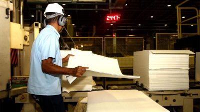 Suzano Papel e Celulose