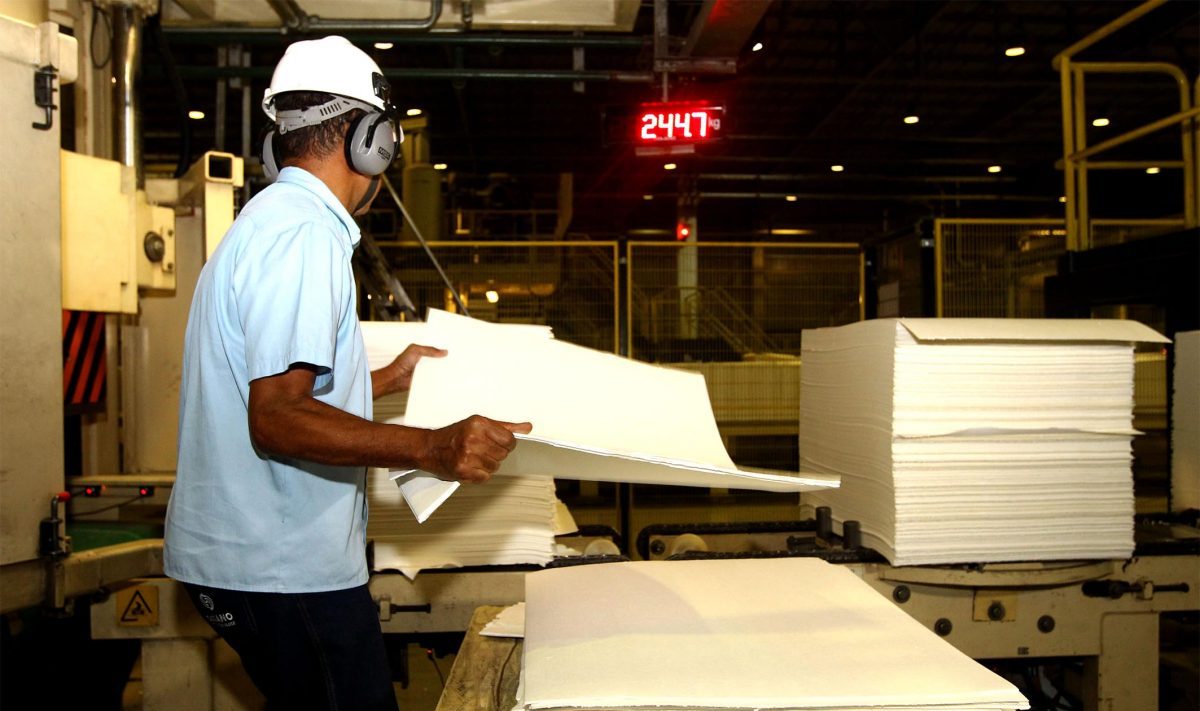 Suzano Papel e Celulose