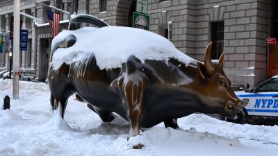 Touro congelado WallStreet