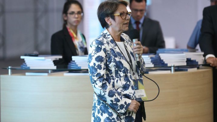 tereza-cristina