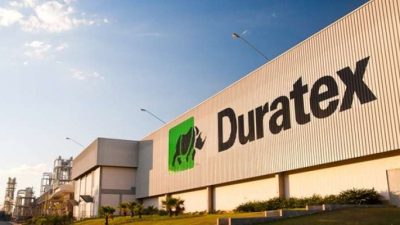 Duratex