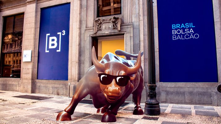 Bull-Bovespa touro