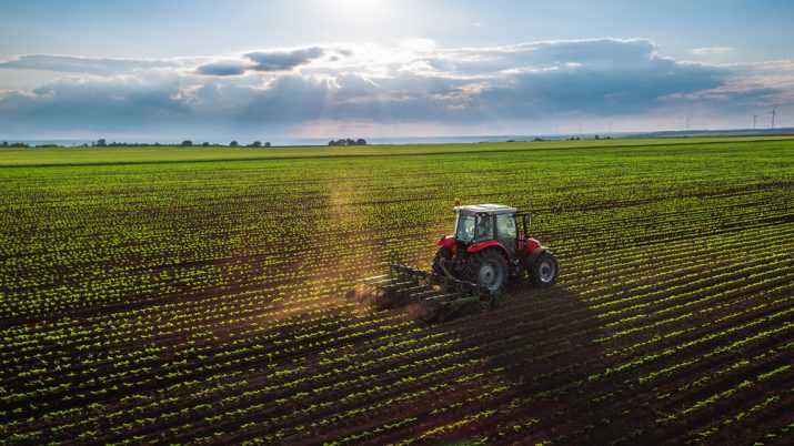 Agropecuária