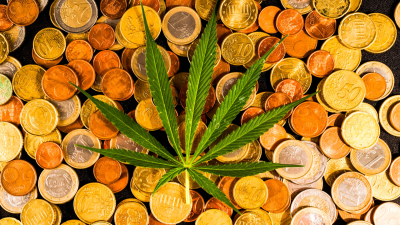 Maconha – investimentos