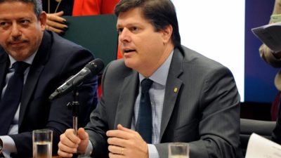 baleia-rossi