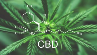 Maconha e Canabidiol