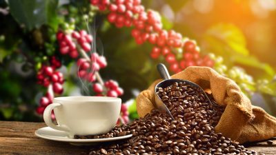 Café