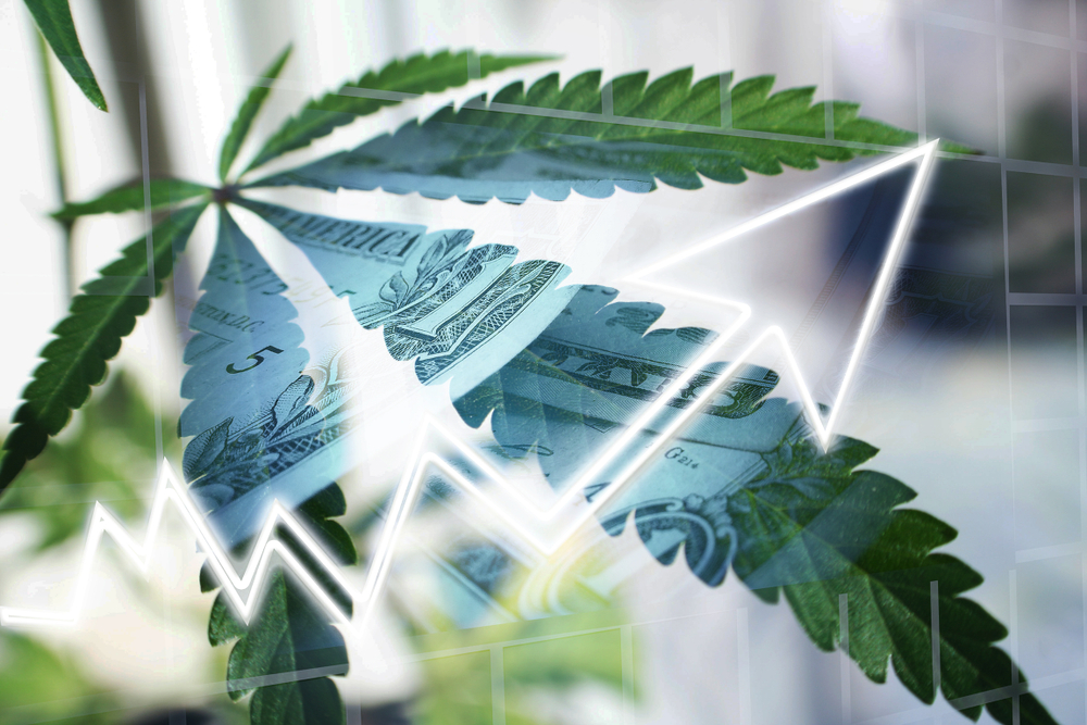 Maconha ações