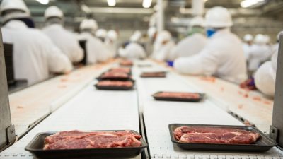 carne bovina