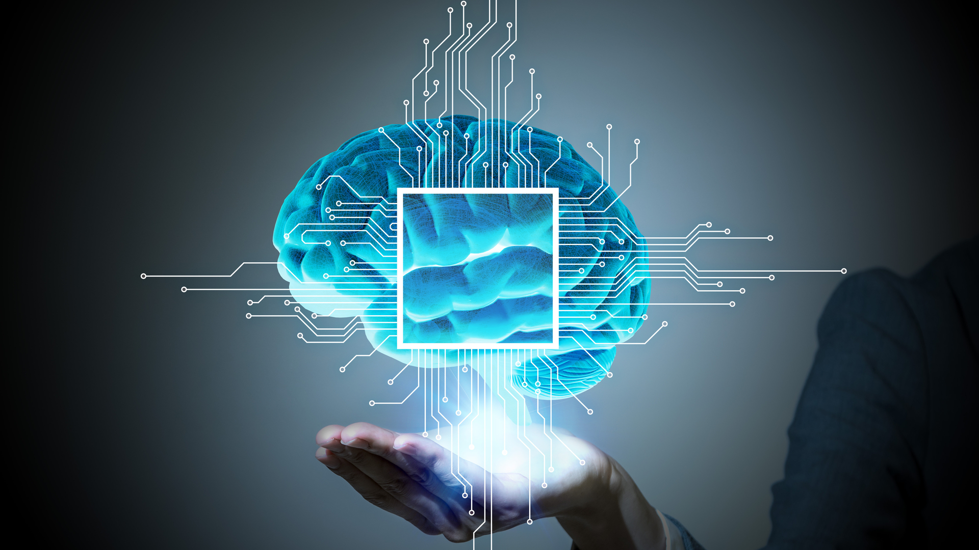 Os quatro tipos de inteligência
