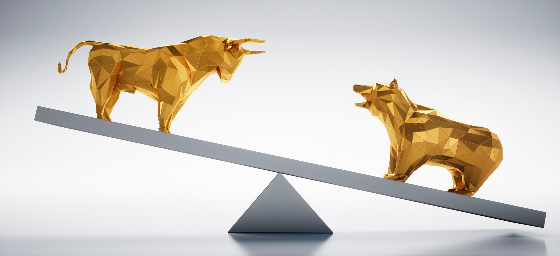 Gangorra Ibovespa mercads touro urso bear bull