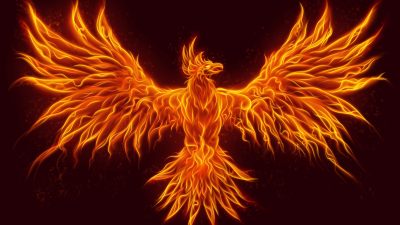 passaro de fogo fenix
