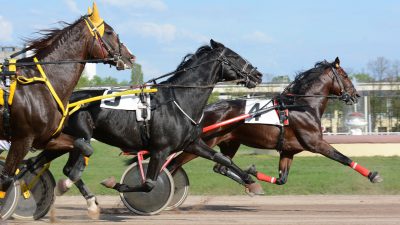 corrida três cavalos 3