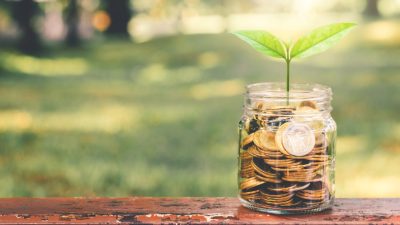 ESG investimento planta moedas