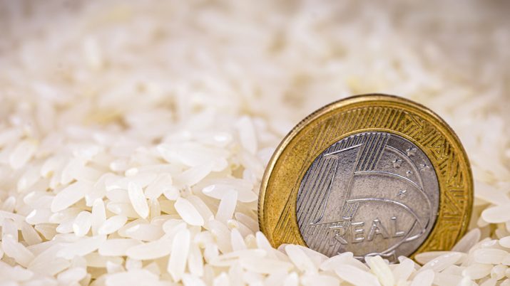 arroz moeda