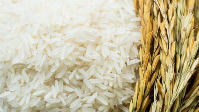 arroz