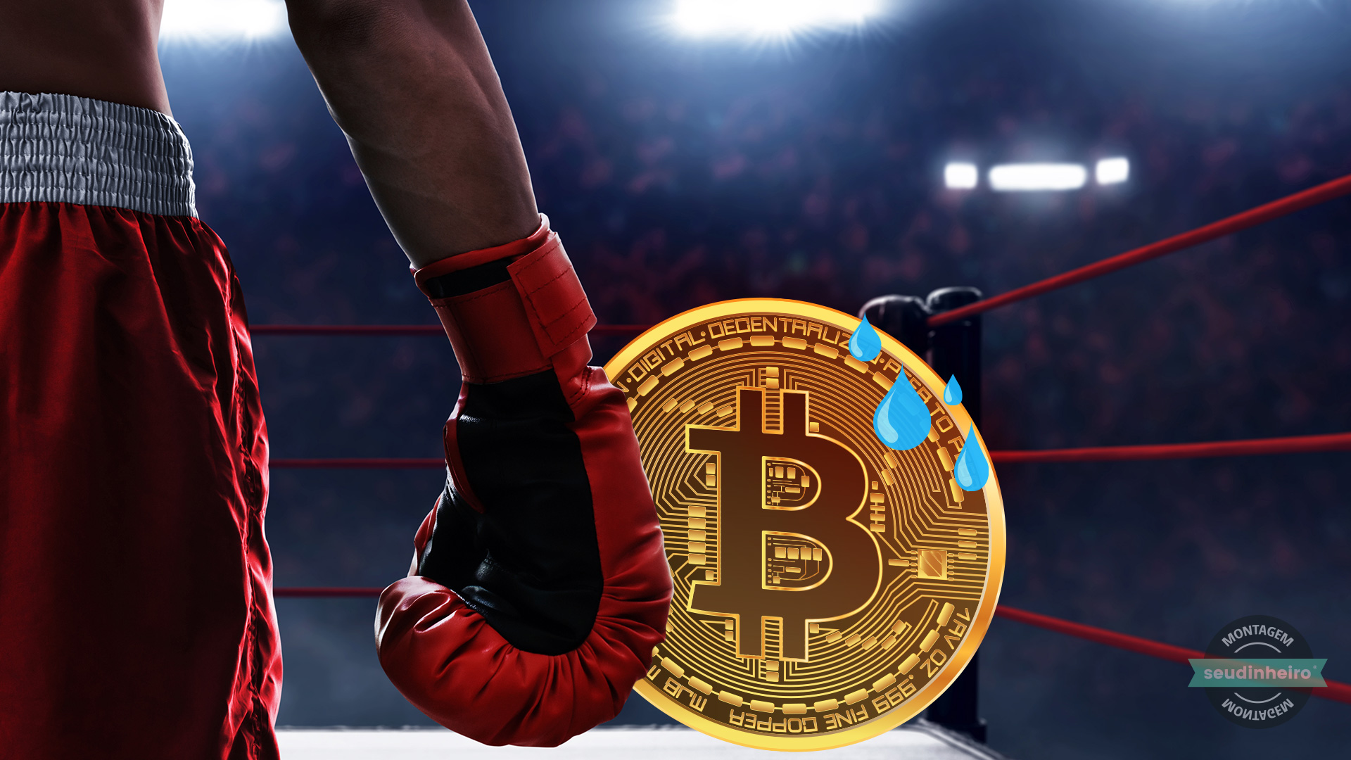 Bitcoin Boxe Ring