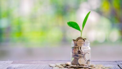 Cropping,On,Coins,-,Investment,Ideas,For,Growth