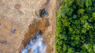 Aerial,View,Of,Deforestation.,Rainforest,Being,Removed,To,Make,Way