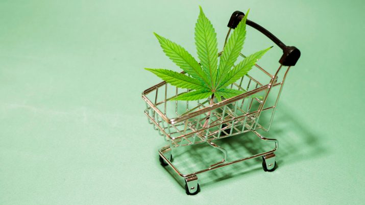 comércio maconha