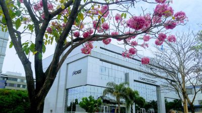 Sede do Conselho Administrativo de Defesa Econômica (Cade)