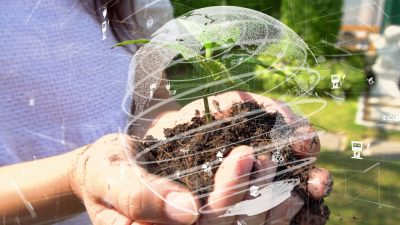 ESG crédito de carbono