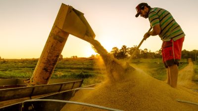 Agricultor e uma máquina despejando arroz