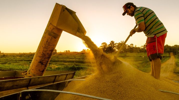 Agricultor e uma máquina despejando arroz