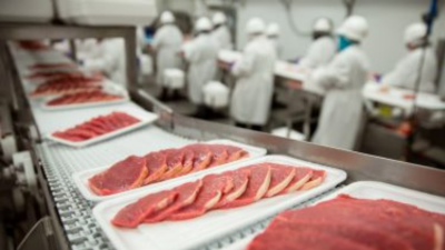 Bandejas com carne sobre uma esteira na linha de produção do frigorífico | Marfrig