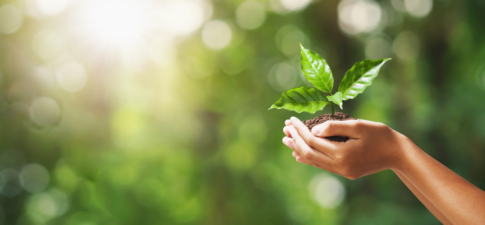 Hand,Holding,Young,Plant,On,Blur,Green,Nature,Background.,Concept