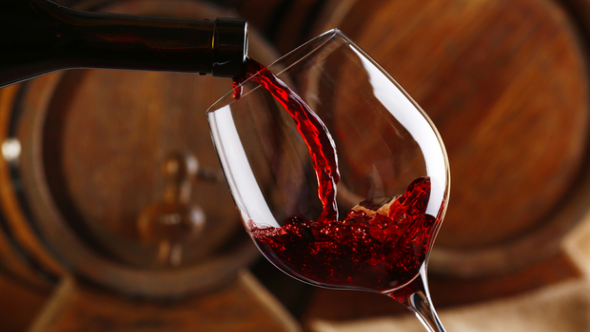 Vinho vinhos gastronomia