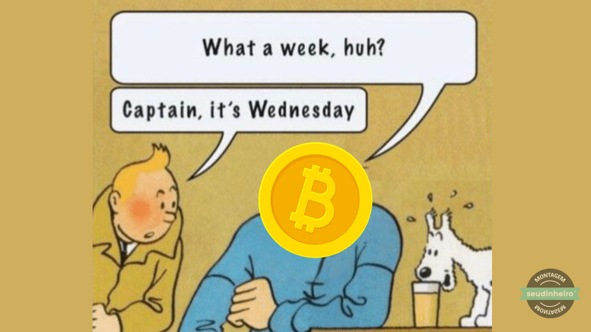 Capitão_bitcoin_what_a_week_rintintin_v1[1]