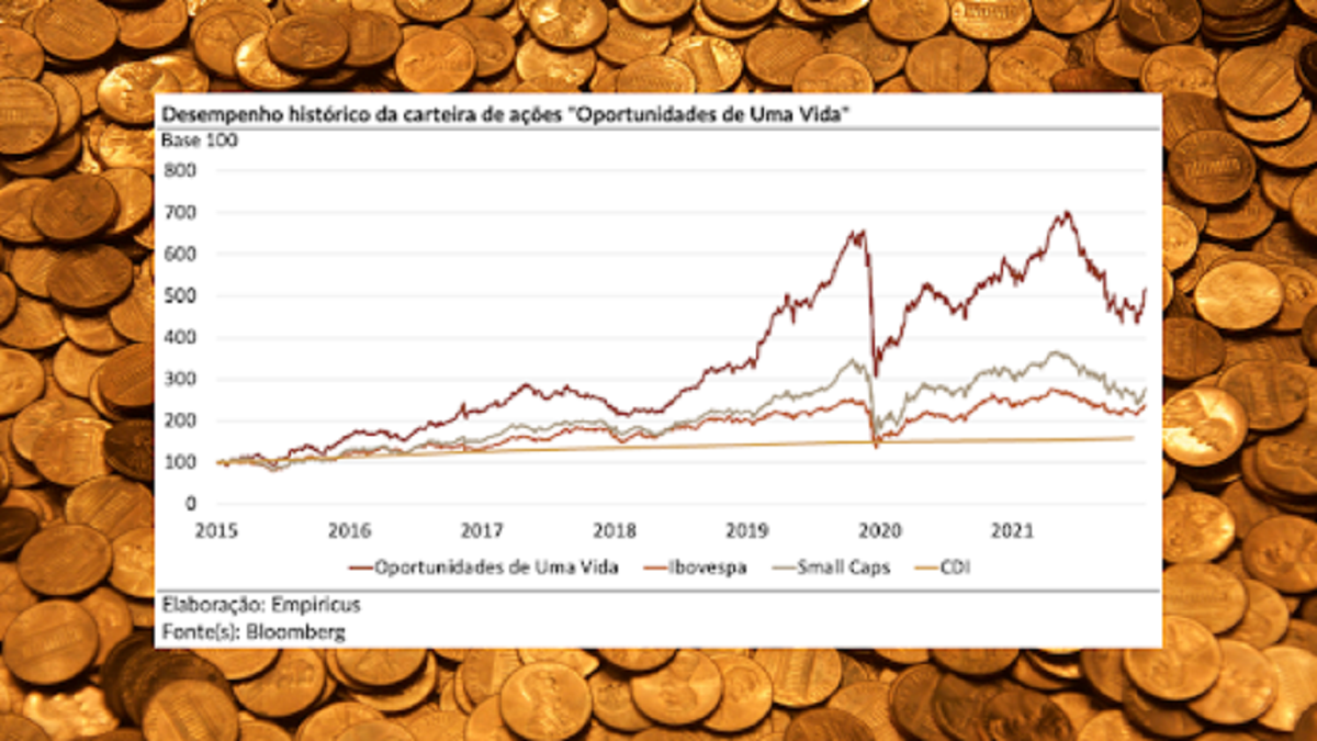 Gráfico ações da carteira "Oportunidades de uma Vida"
