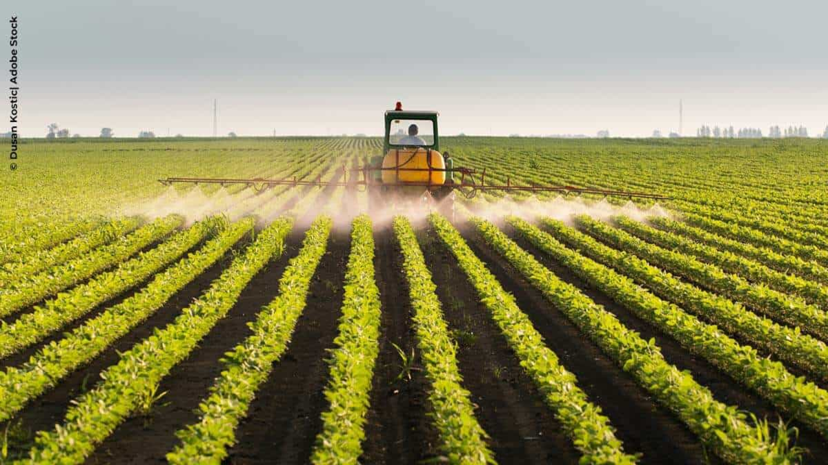 Fertilizantes Itaú (ITUB4) Plano Safra Fundo Imobiliário agro
