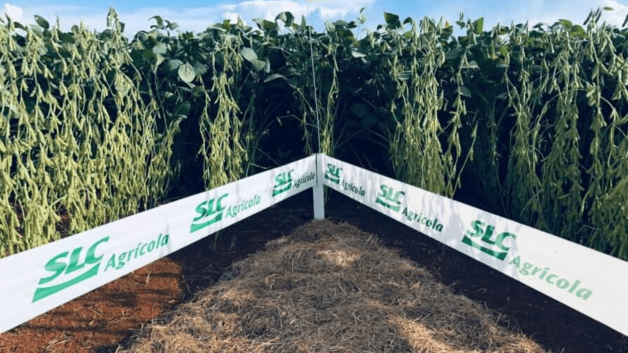 SLC Agrícola (SLCE3)