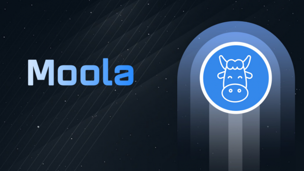 Moola Market, protocolo de finanças descentralizadas