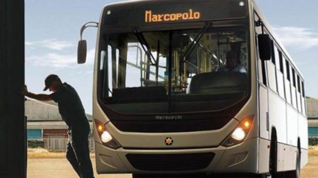 Marcopolo (POMO4)