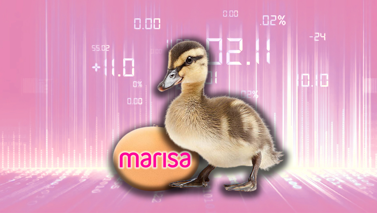 Patinho com um ovo e gráfico ao fundo. No ovo, a logo da Lojas Marisa (AMAR3)