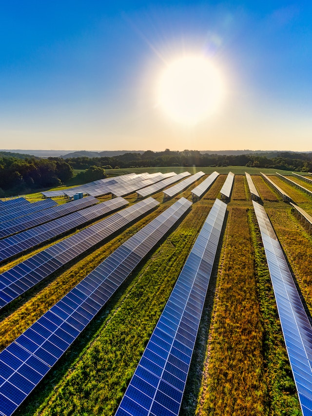 Taxação do Sol: painéis de energia solar expostos em um gramado