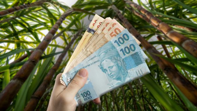 cana de açúcar etanol agronegócio fiagro