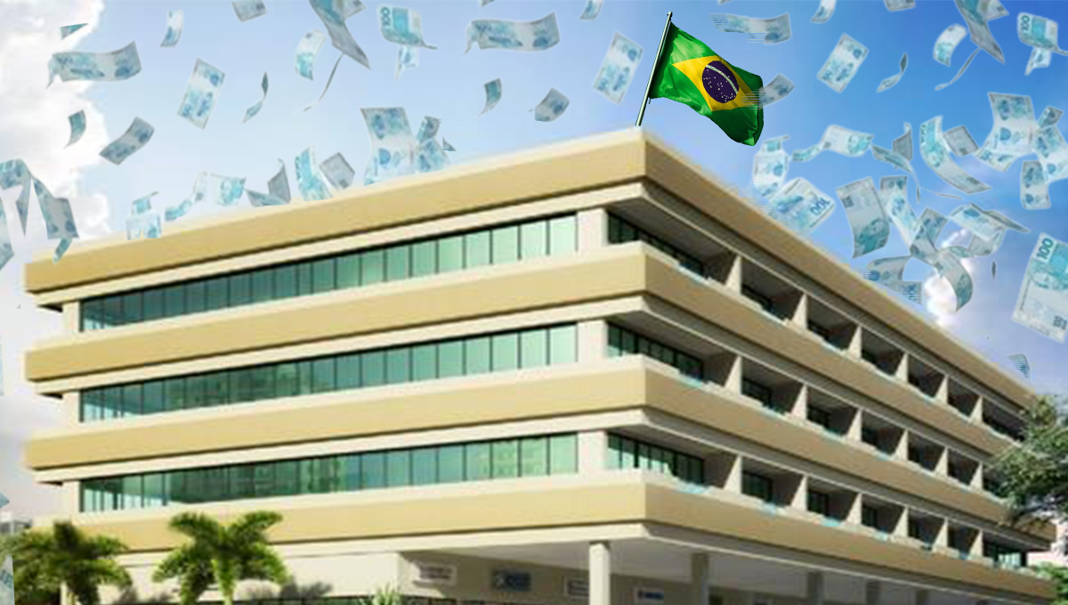 empresa brasileira dividendos ação