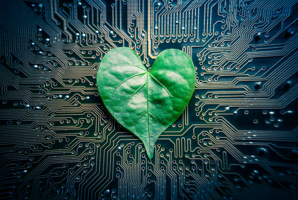 energia sustentável verde fundo de investimento