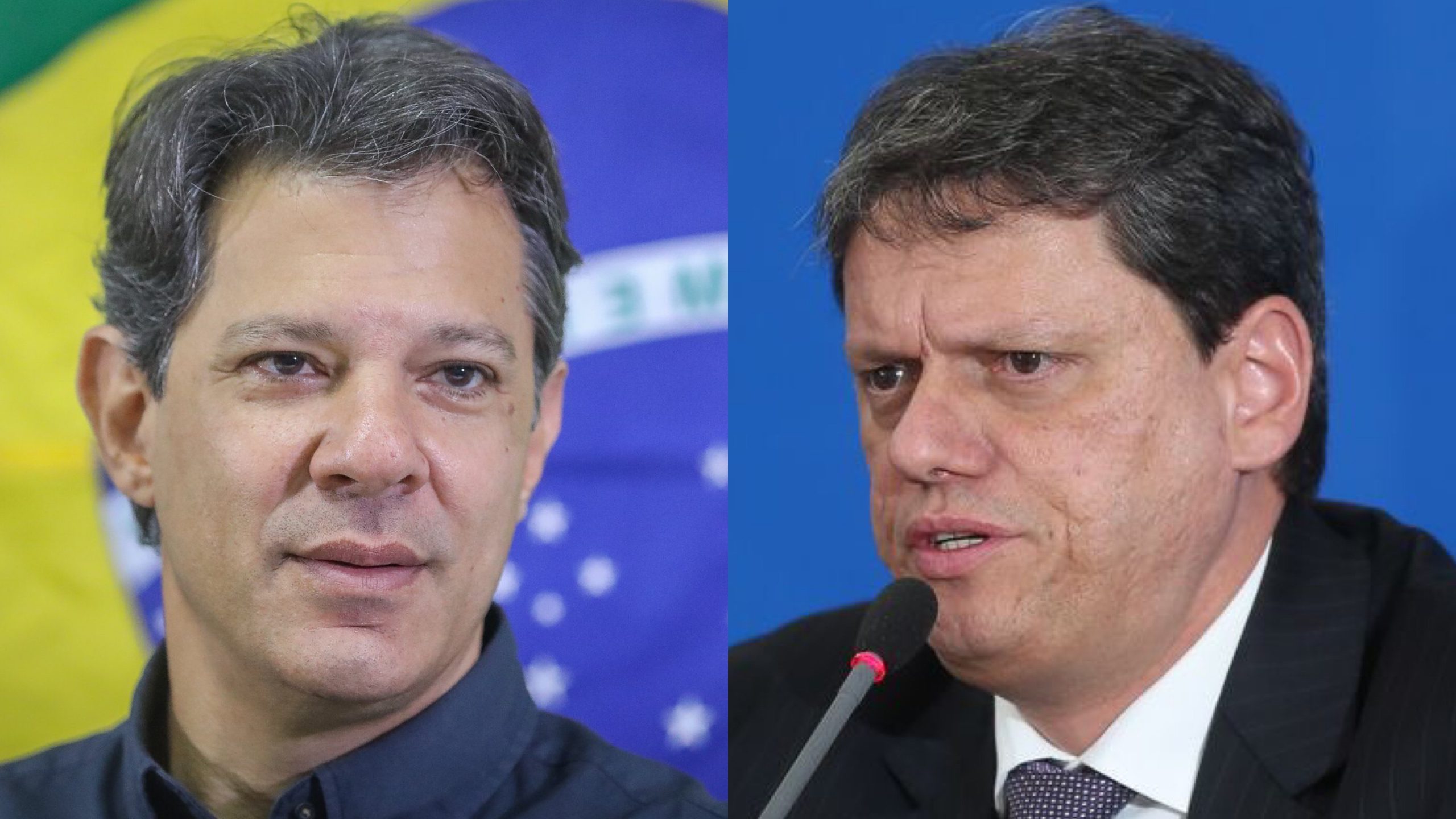 Fernando Haddad e Tarcísio Freitas