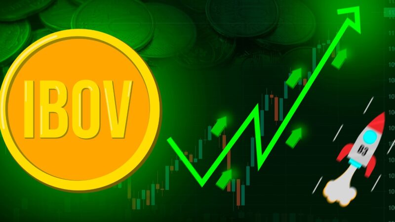 ibovespa rali ações bolsa