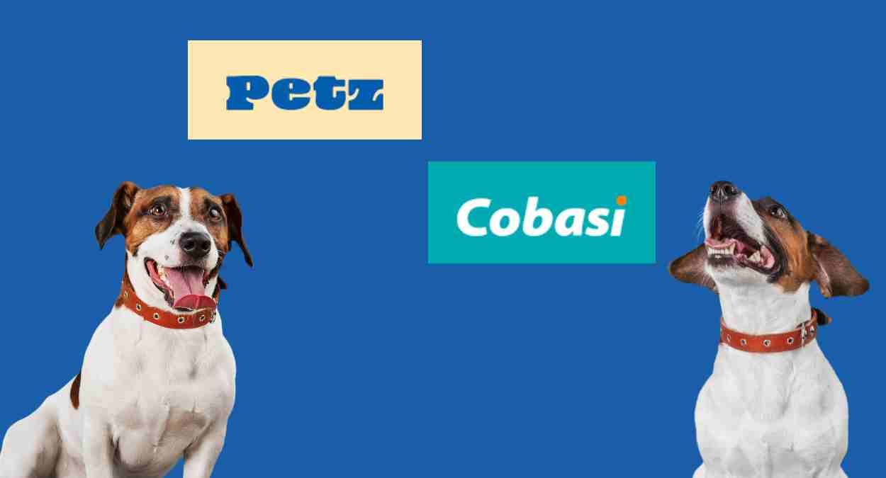 Fusão de Cobasi com Petz. Montagem com dois cachorros felizes
