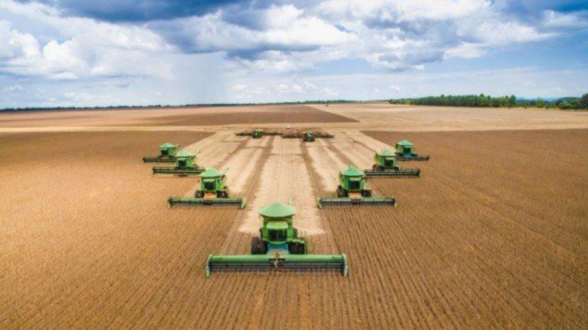 slc agricola ações dividendos