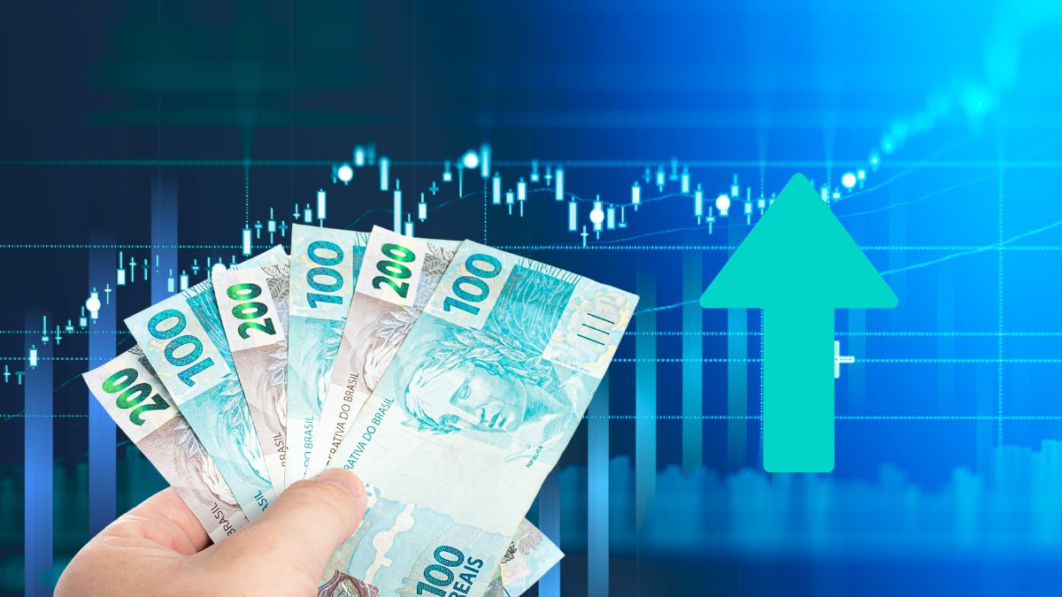 ações dividendos selic e renda fixa valorização bolsa small cap