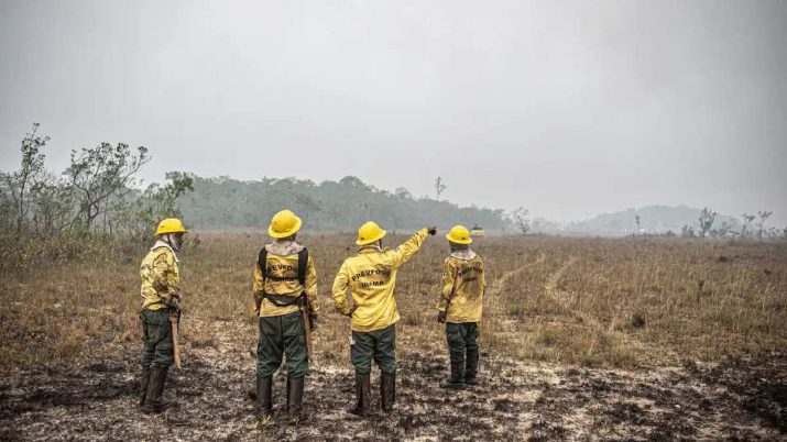 Ibama, incêndio, florestas, Brasil