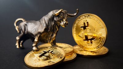 Bitcoin bull market