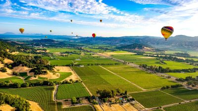 Napa Valley: o destino incontornável do vinho americano